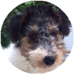 Home testimonials hattie 02